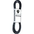 V-Belt