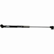 Gas Spring Stainless