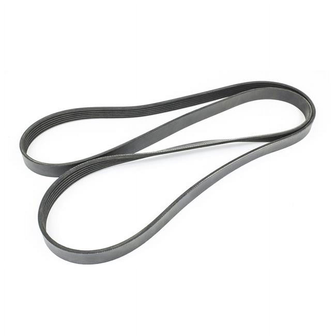 Serpentine Belt