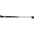 Gas Spring Stainless