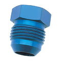 -10AN Blk Flare Plug