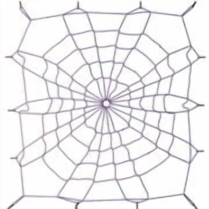 Luggage Web Small