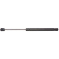 Trunk Lid Lift / Hood Lift Support