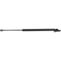 Liftgate Lift Support