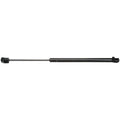Back Glass Lift Support