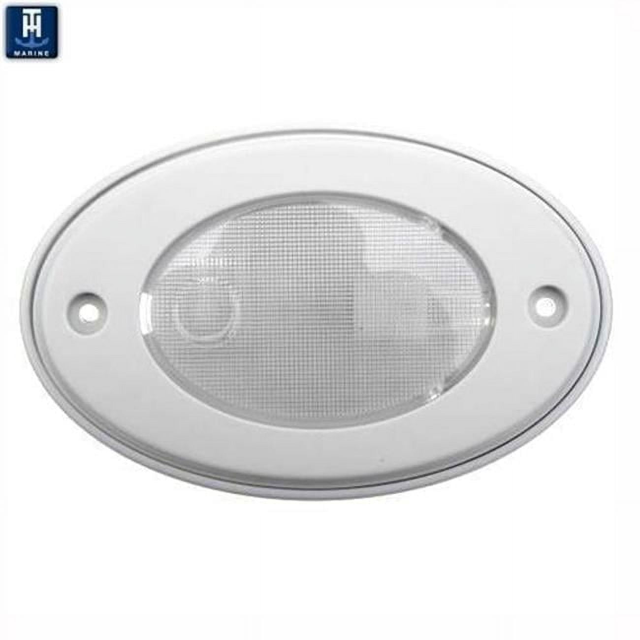 White Oval Courtesy LED W/ Mnt Ring