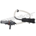 Engine Camshaft Position Sensor/Eng