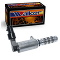 Engine Variable Valve Timing (Vvt)