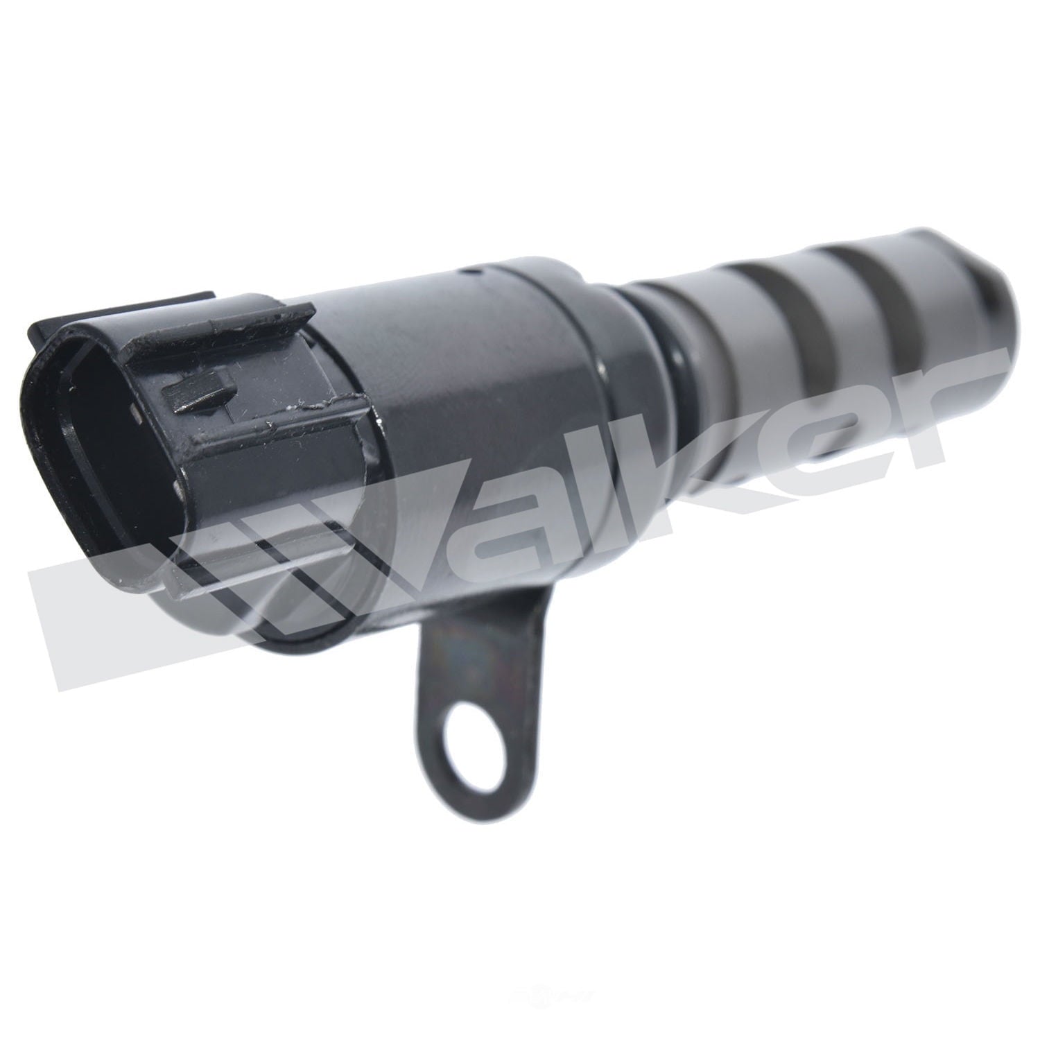 Engine Variable Valve Timing (Vvt)